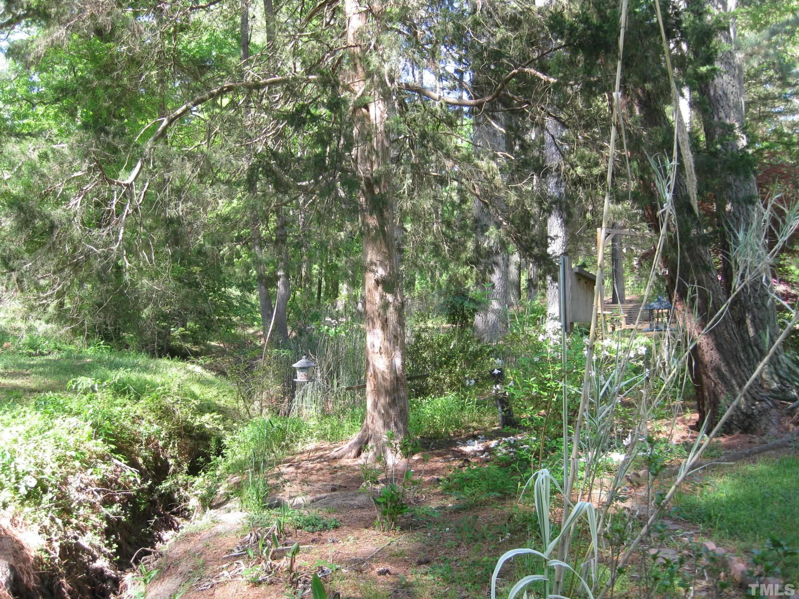 2703 Joyner Road Durham, NC 27704 - Photo 7 of 17