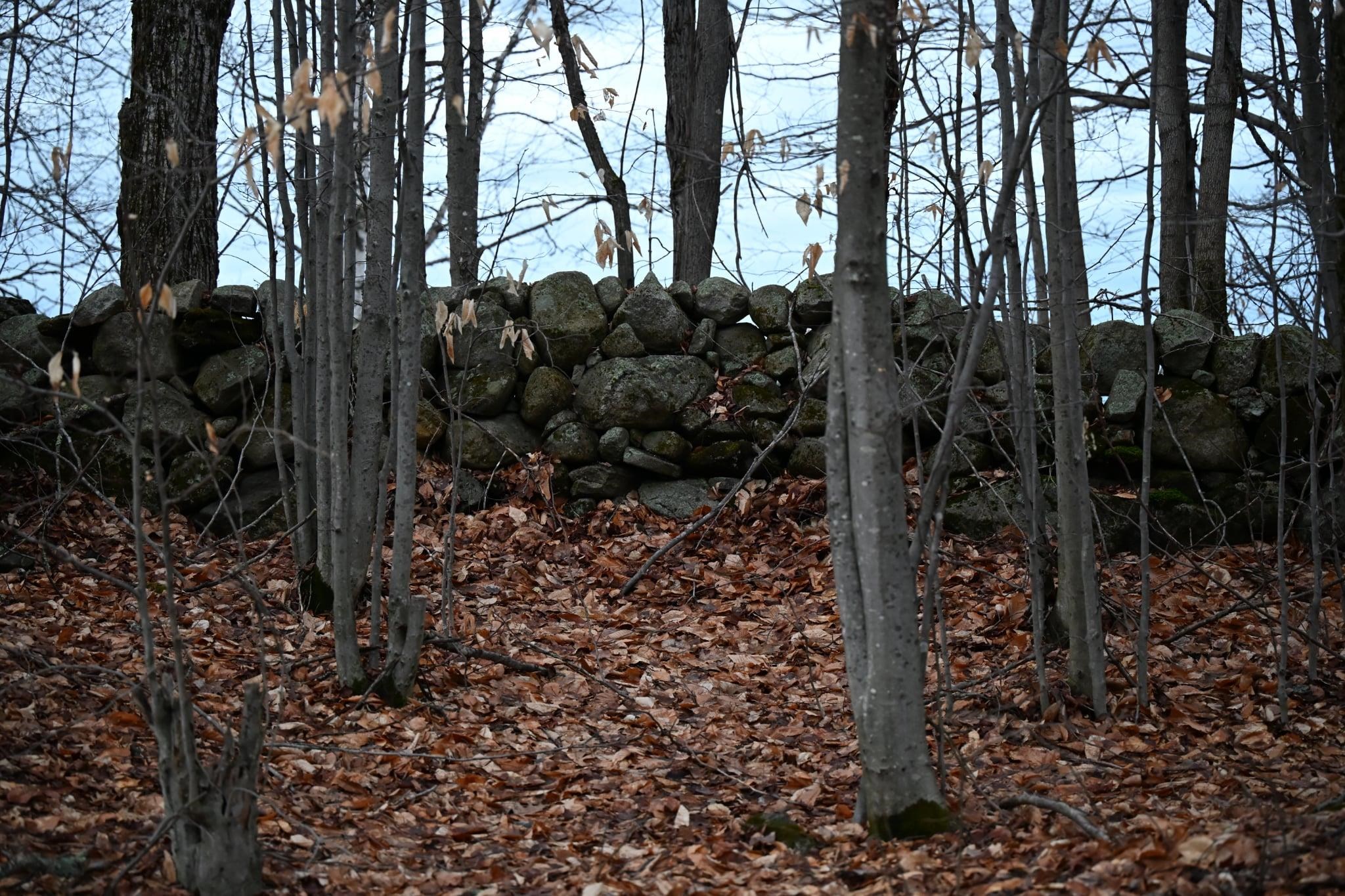0 Downing Road Topsham, VT 05076 - Photo 2 of 4
