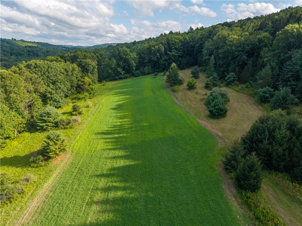 46 County Route Dansville, NY 14437 - Photo 12 of 50 Gallery Image 12