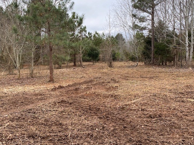 0 South No Pone, Unit PONE Decatur, TN 37322 - Photo 20 of 20