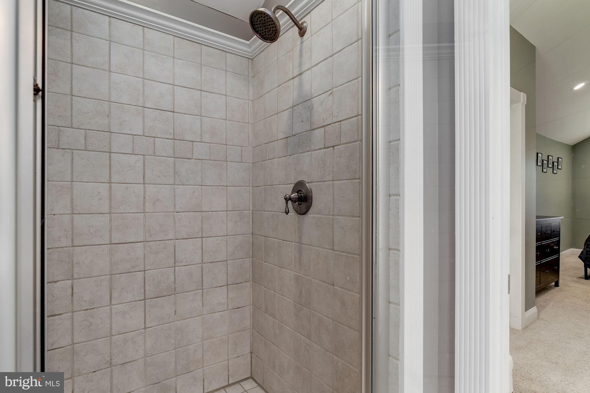229 Lake Road Pasadena, MD 21122 - Photo 21 of 38 Master Bathroom Shower