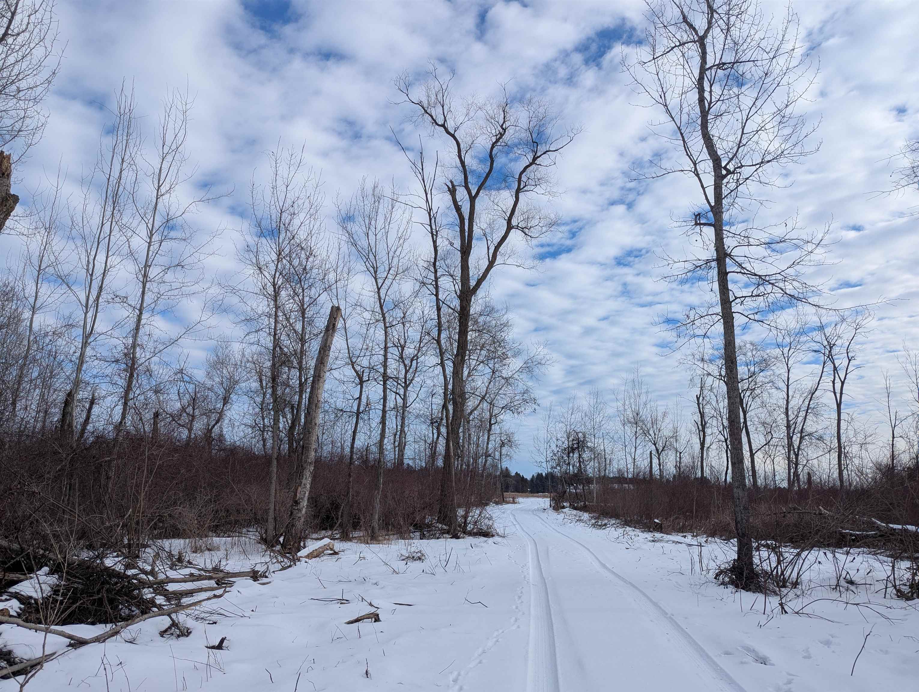 N/a Swenson Road Au Gres, MI 48703 - Photo 6 of 15