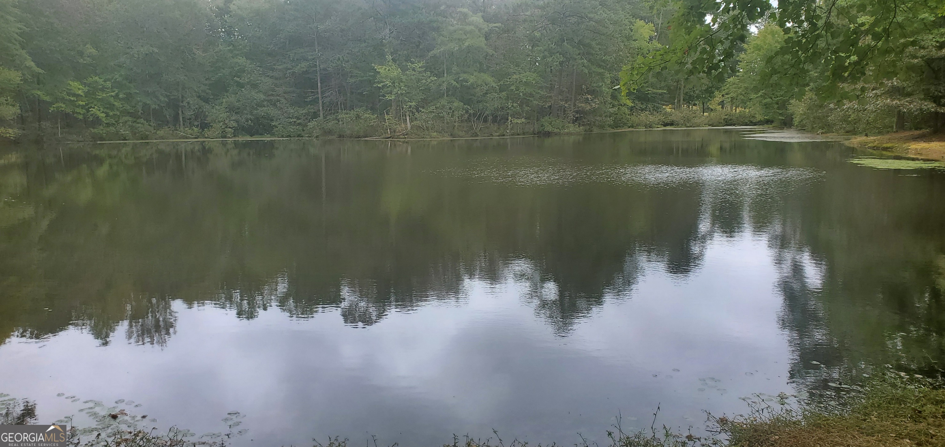 384 Enon Grove Road Franklin, GA 30217 - Photo 12 of 118