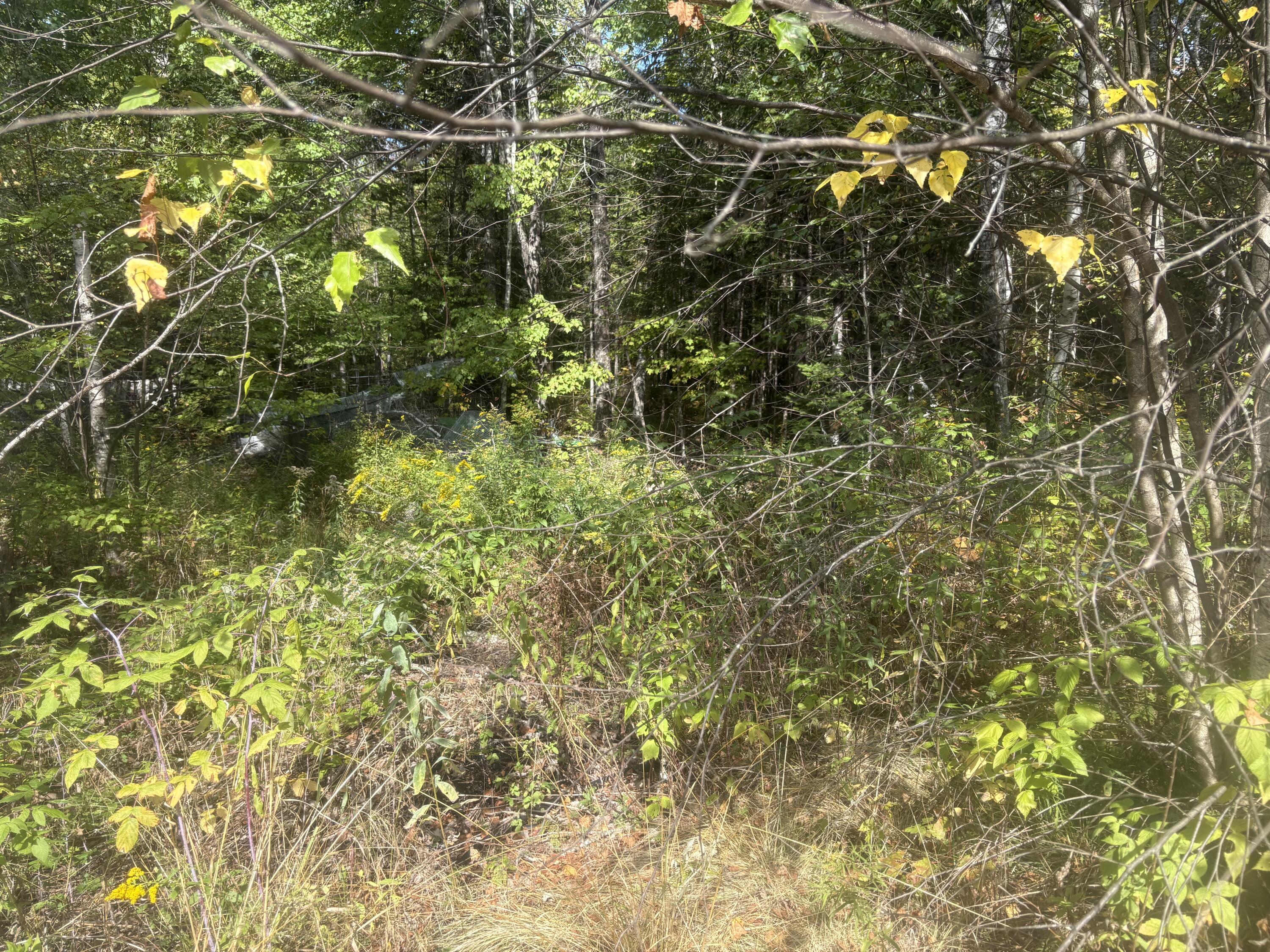 33 Maxfield Road Howland, ME 04448 - Photo 21 of 24 IMG_5489