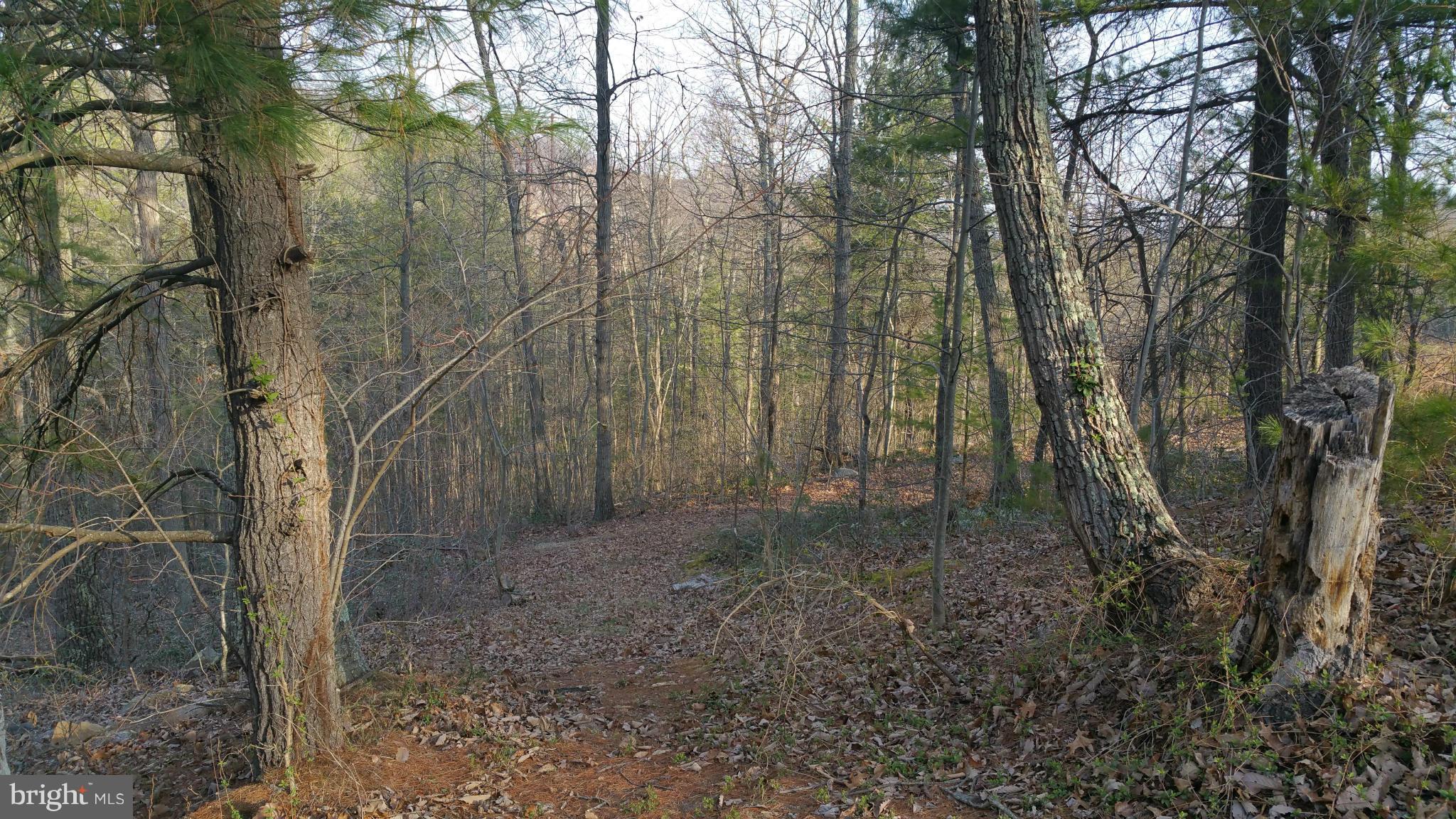 290 Deerhaven Road Front Royal, VA 22630 - Photo 15 of 15 Exterior (General)