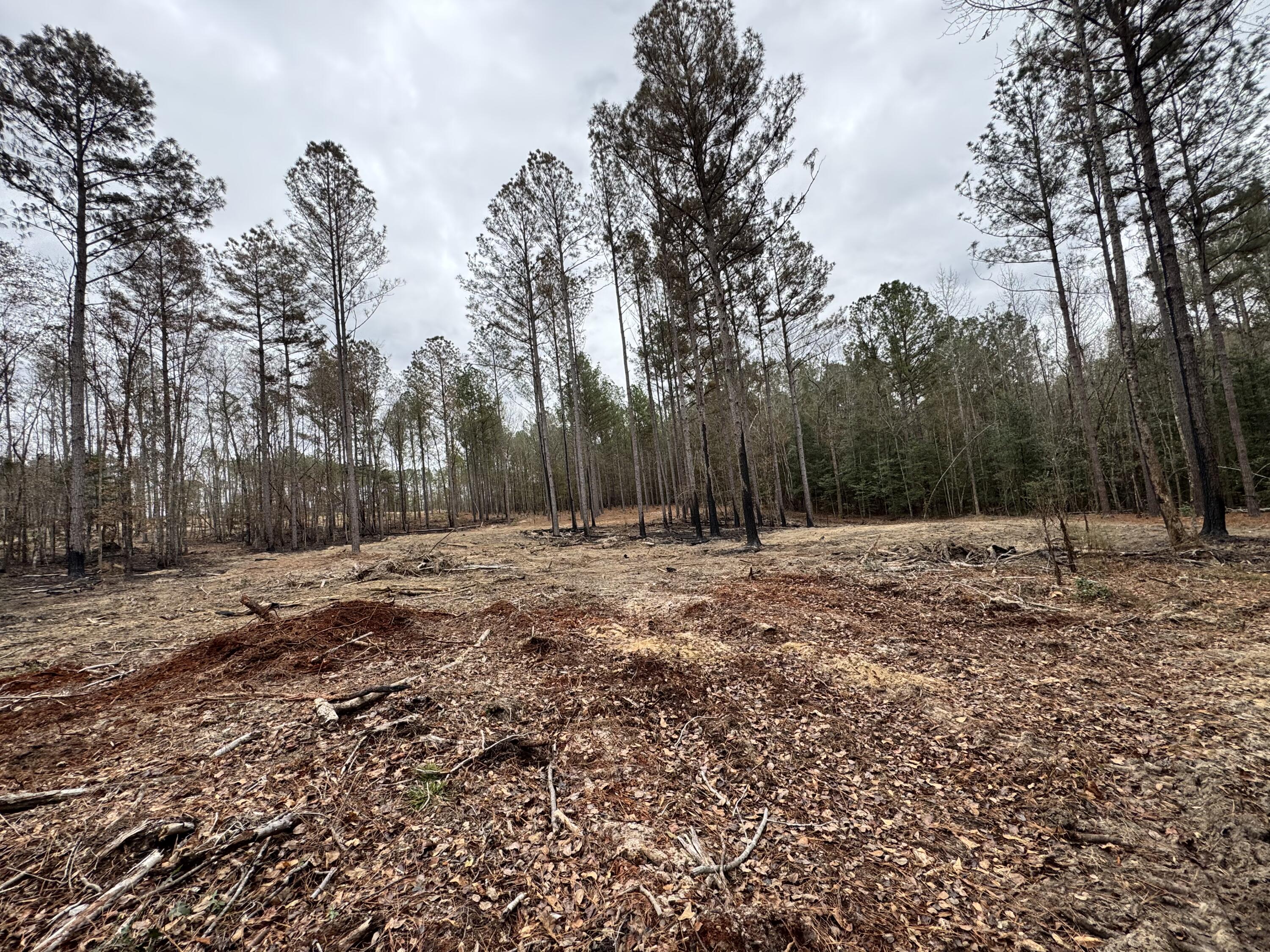 3479 Bastonville Road Gibson, GA 30810 - Photo 5 of 15 IMG_0888