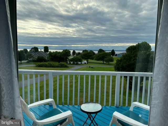 a view of a park with large trees