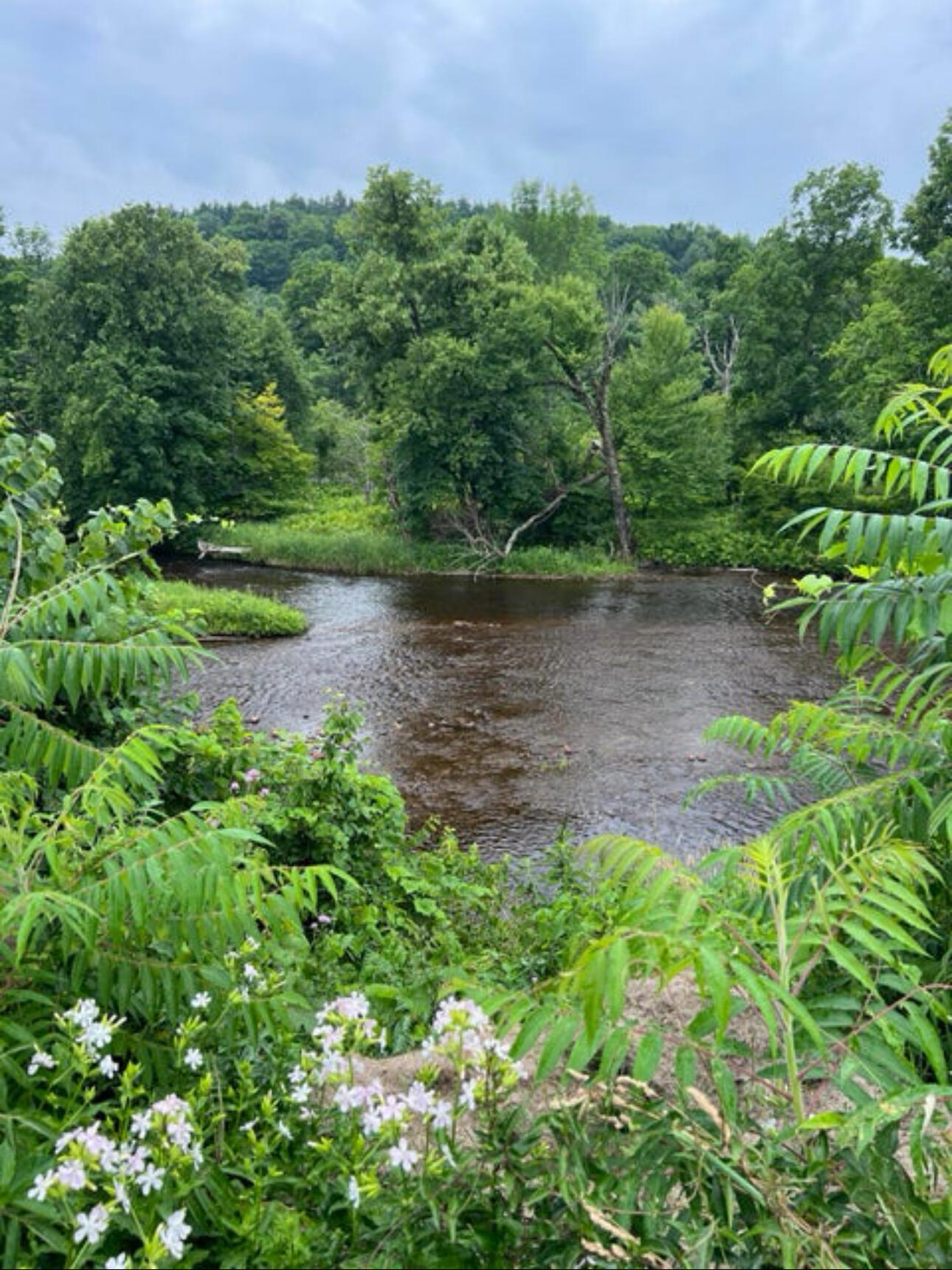 0 River Road Malone, NY 12953 - Photo 6 of 12 IMG_0506