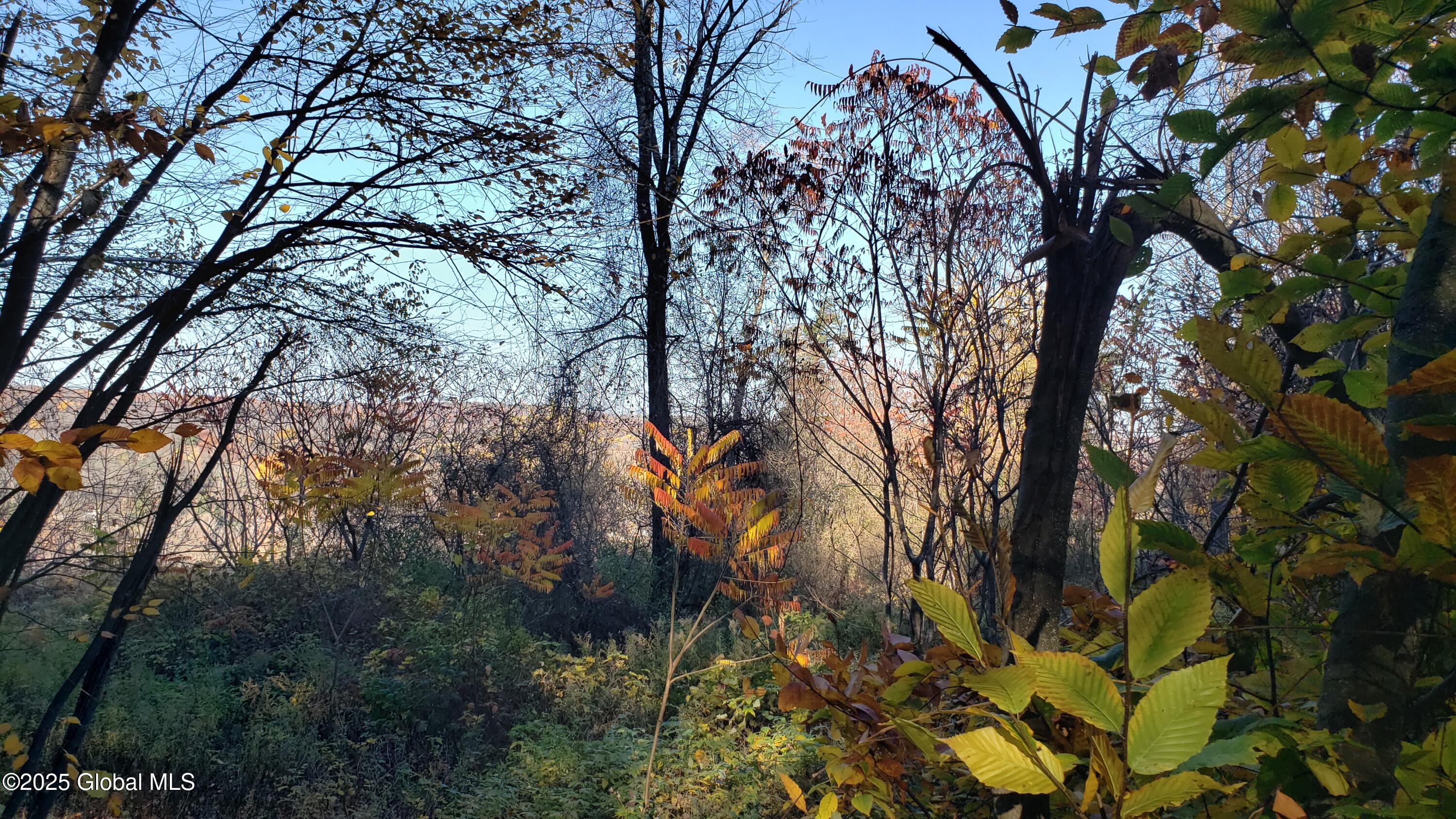 2554 Highway 7 Cobleskill, NY 12043 - Photo 19 of 42 20241022_152651