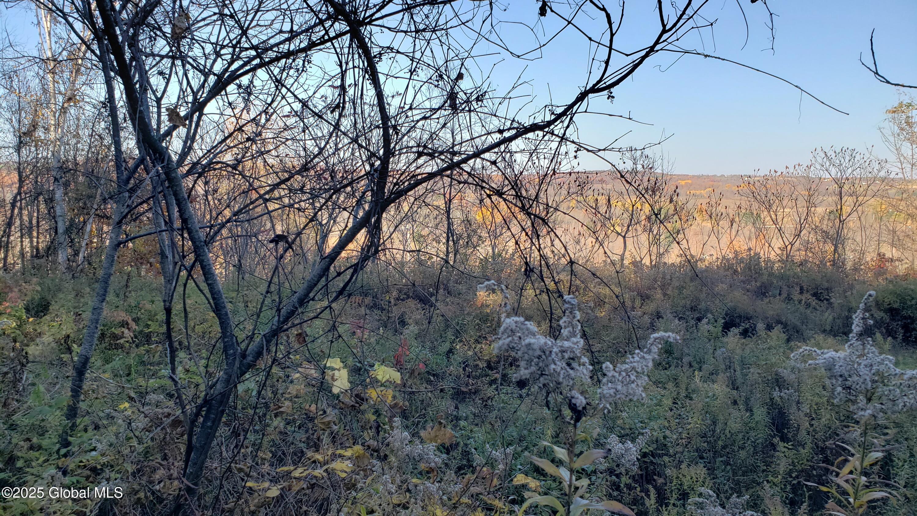 2554 Highway 7 Cobleskill, NY 12043 - Photo 20 of 42 20241022_153328