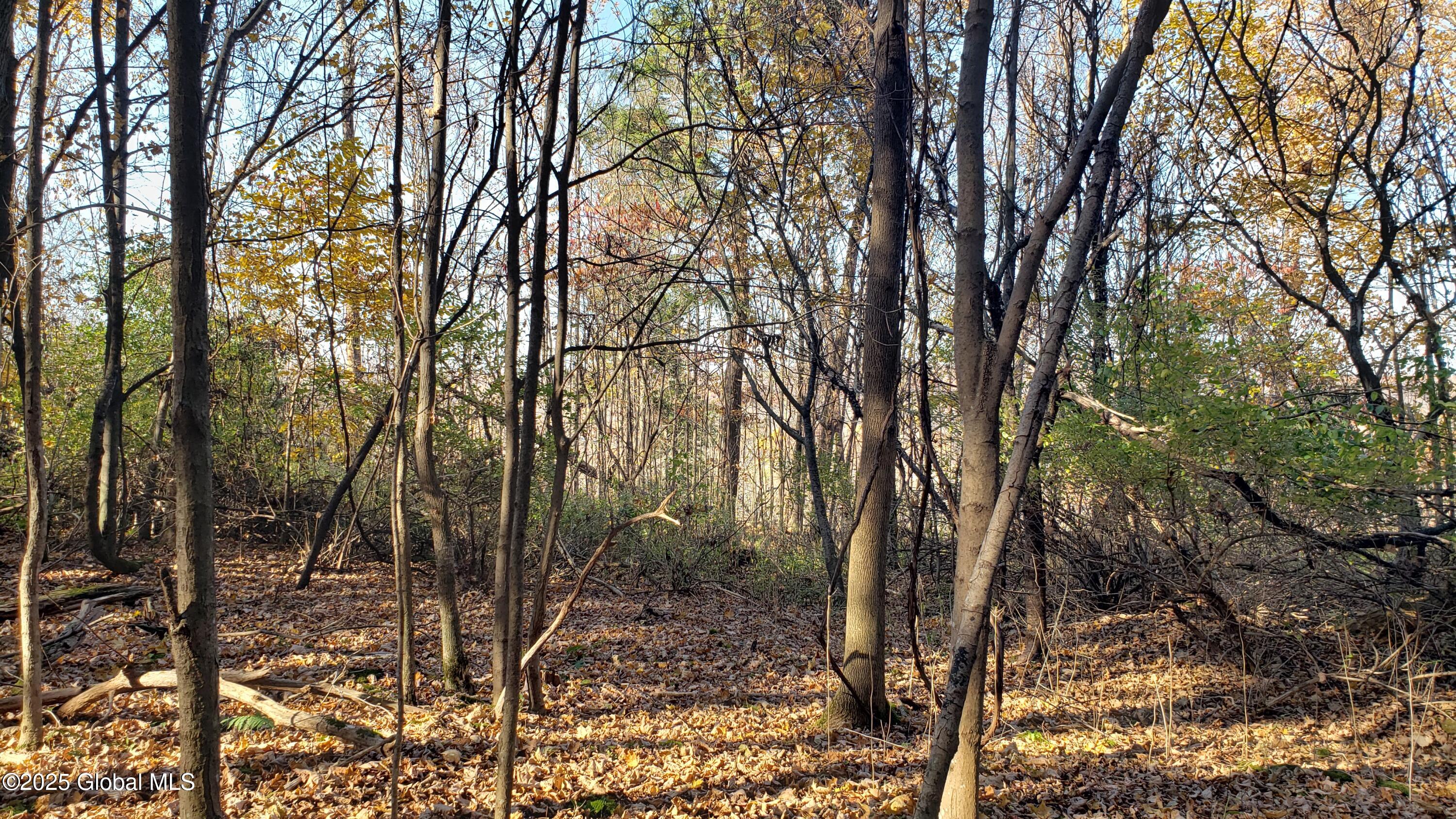 2554 Highway 7 Cobleskill, NY 12043 - Photo 28 of 42 20241022_152026