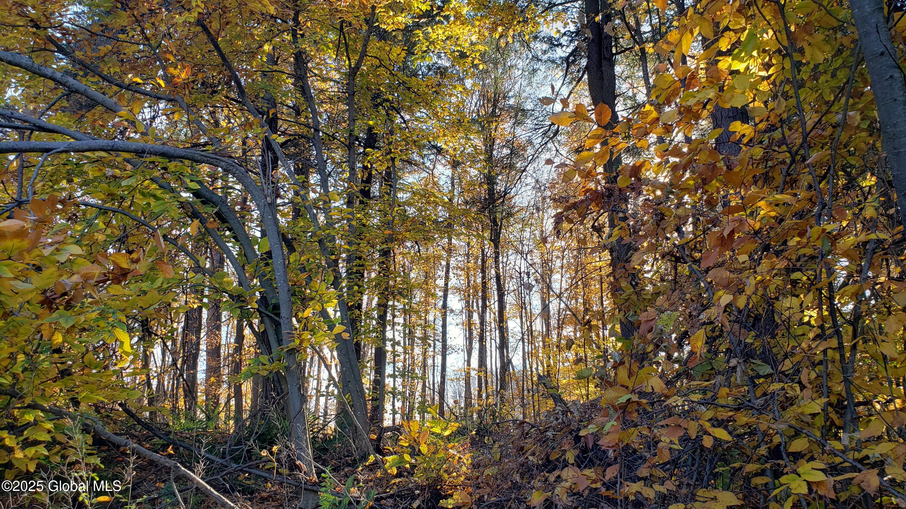 2554 Highway 7 Cobleskill, NY 12043 - Photo 29 of 42 20241022_152602