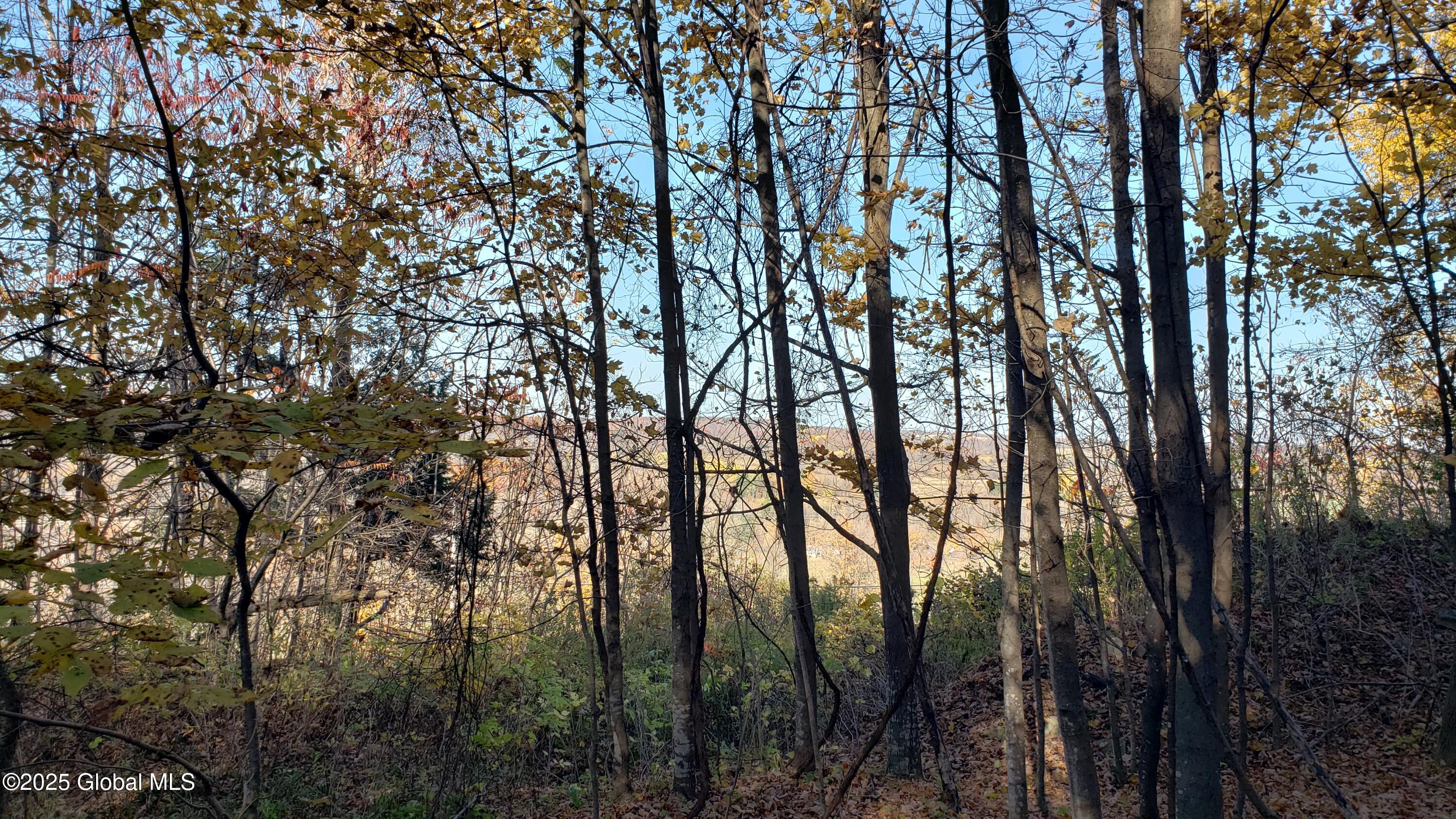 2554 Highway 7 Cobleskill, NY 12043 - Photo 32 of 42 20241022_151828