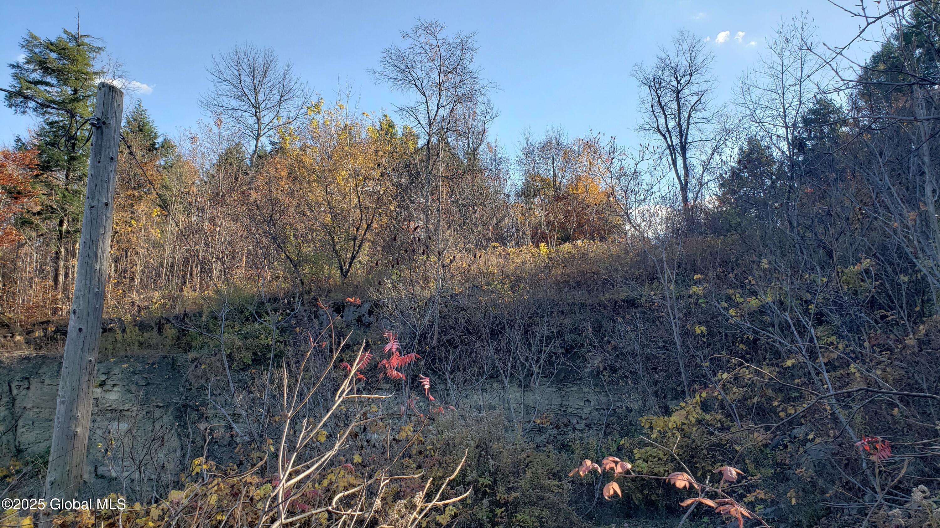 2554 Highway 7 Cobleskill, NY 12043 - Photo 10 of 42 20241022_150521