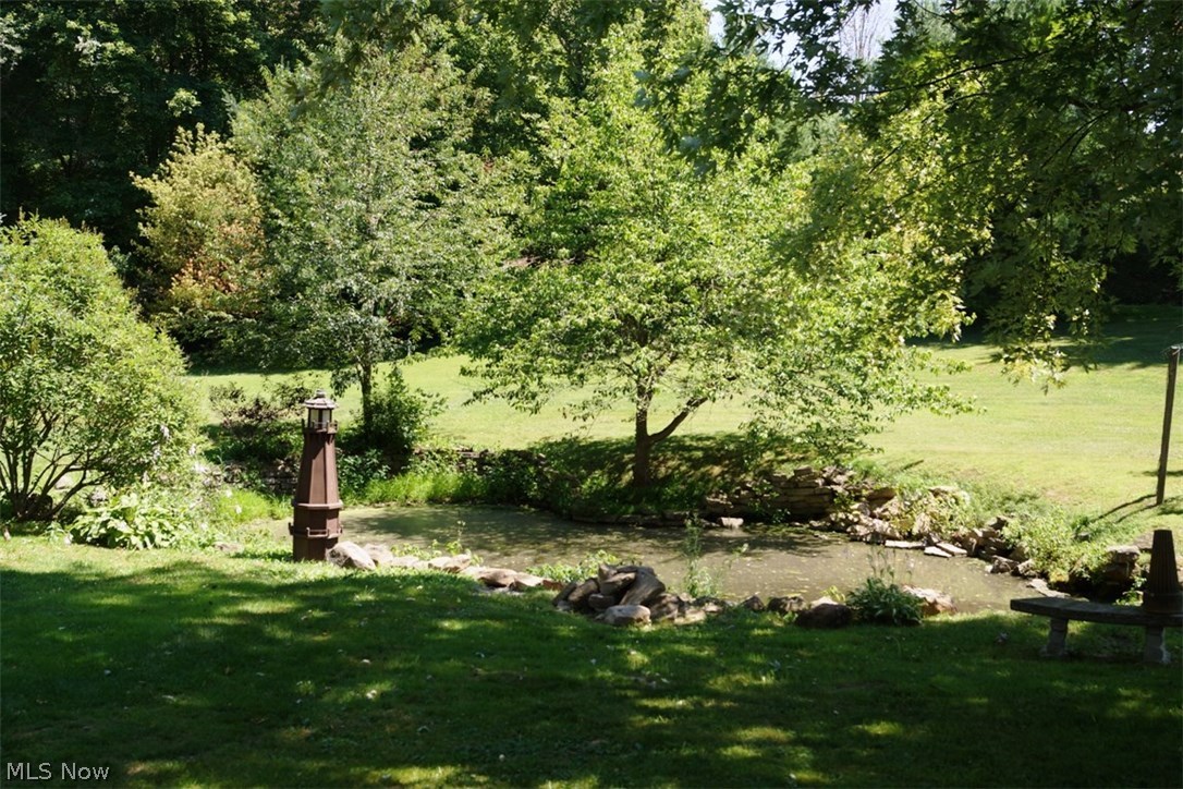 165 Major Road Northeast Minerva, OH 44657 - Photo 31 of 35 SPRING FED POND