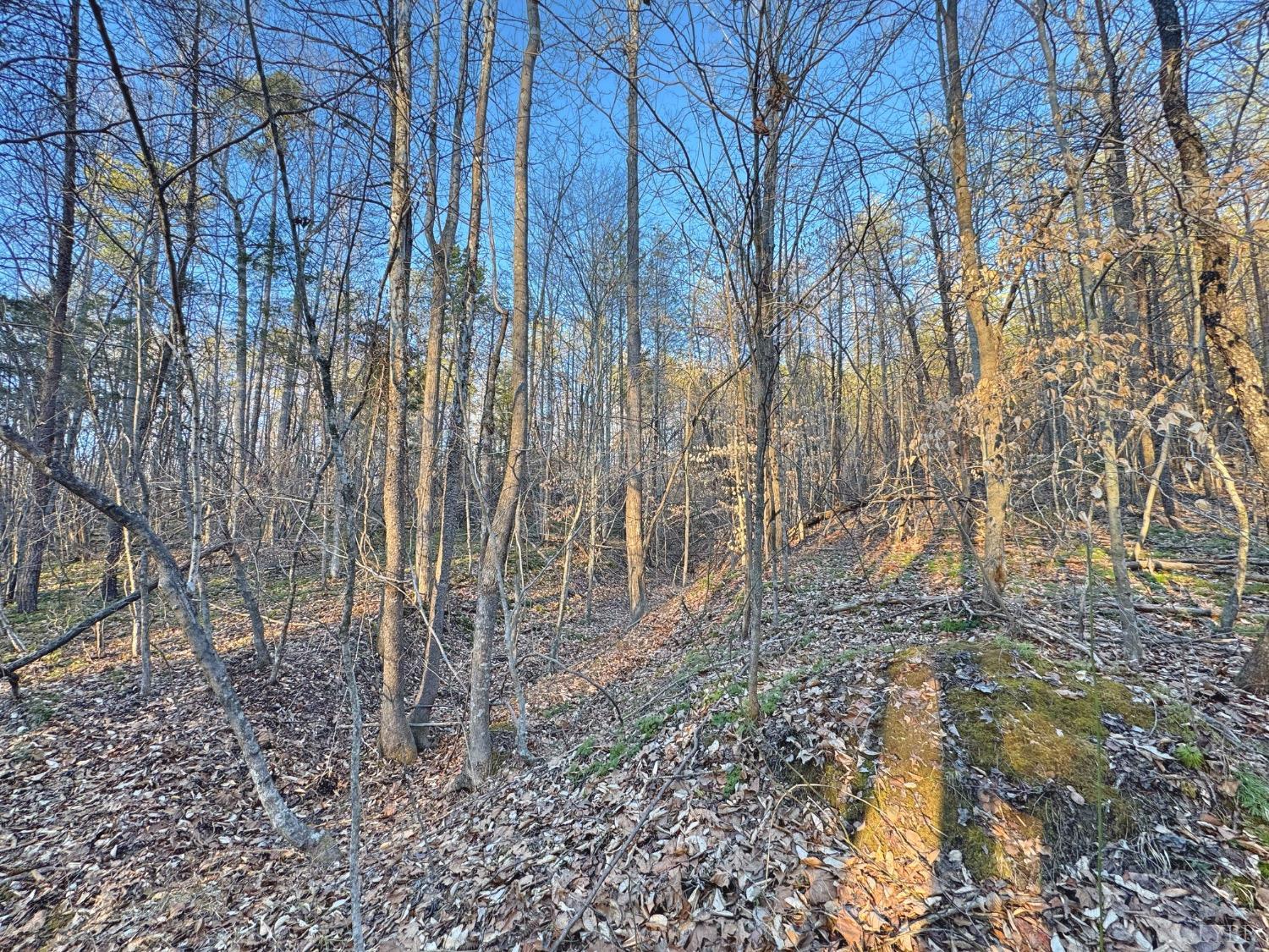 2227 Beckham Road Concord, VA 24538 - Photo 41 of 52 Gallery Image 41