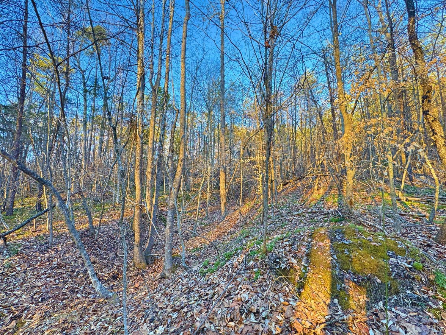 2227 Beckham Road Concord, VA 24538 - Photo 51 of 52 Gallery Image 51