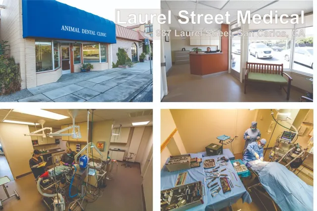 $1,800,000 | 987 Laurel Street, San Carlos, CA 94070