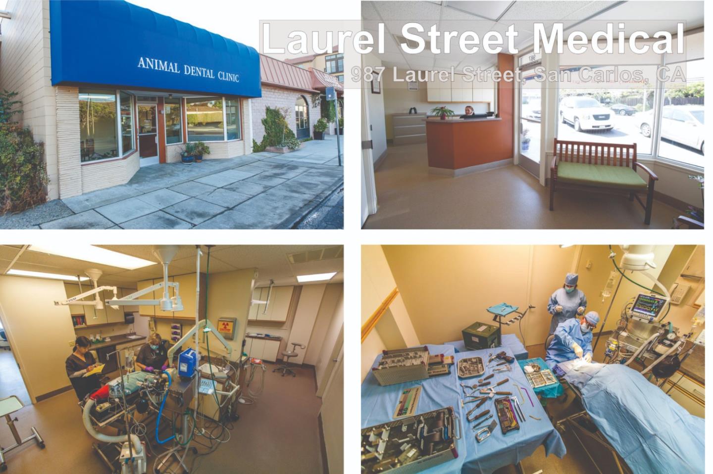 987 Laurel Street San Carlos, CA 94070 - Photo 5 of 9 a view of city