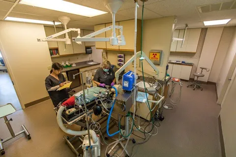 a view of a workspace