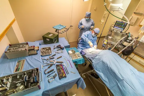 $1,850,000 | 987 Laurel Street, San Carlos, CA 94070