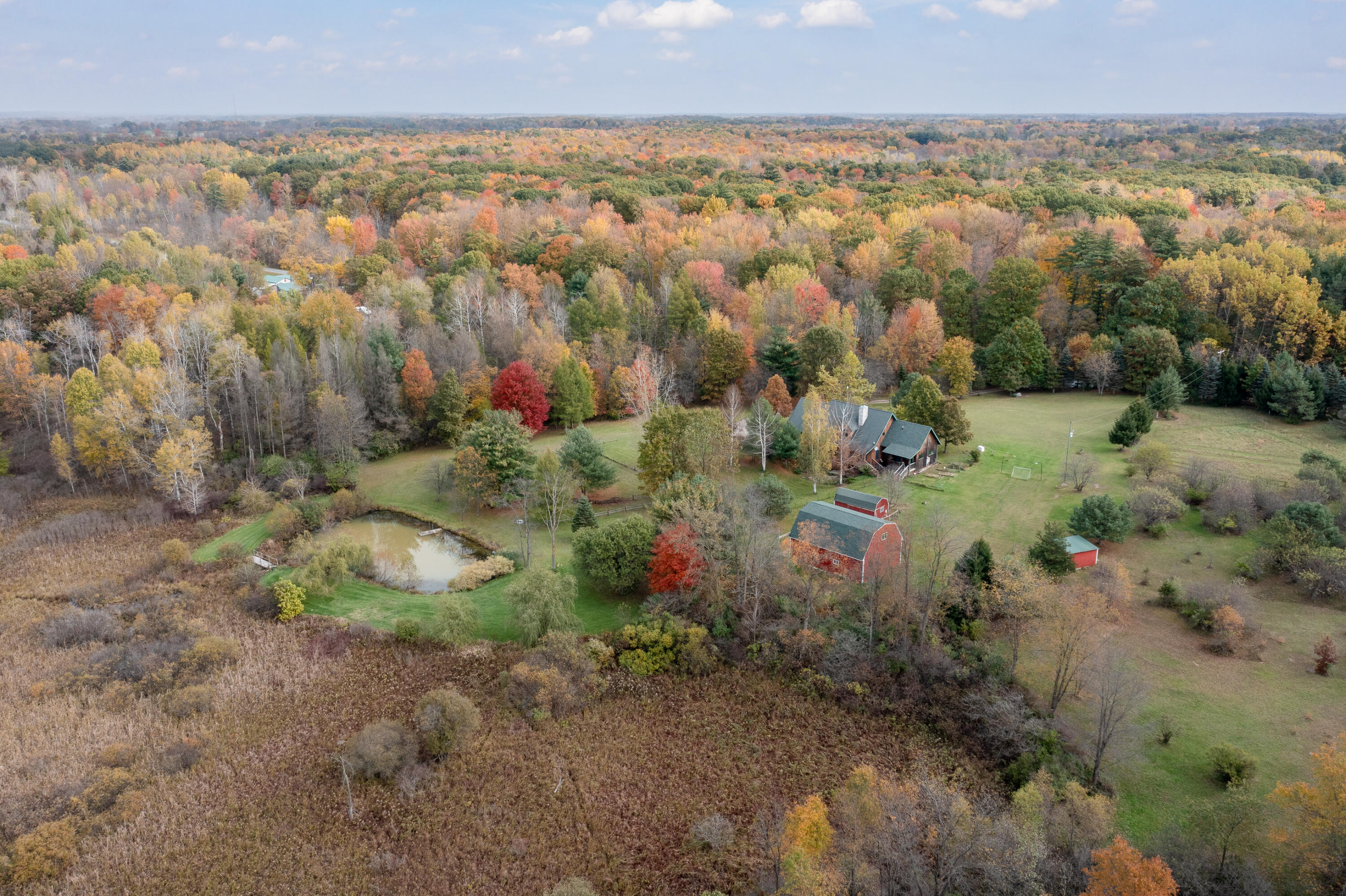 9896 South Carlson Road Fenwick, MI 48834 - Photo 48 of 58 Photo-4