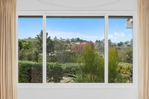 a view of a window and a tree in front of the window