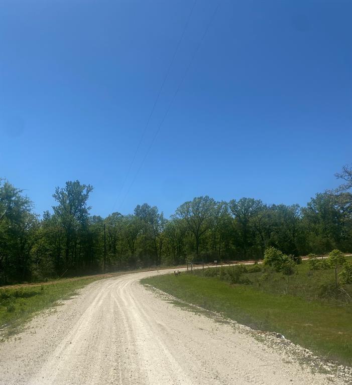 7 Fm 1848 Buffalo, TX 75831 - Photo 3 of 10