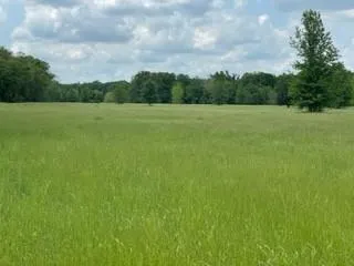 $620,800 | 7 Fm 1848, Buffalo, TX 75831