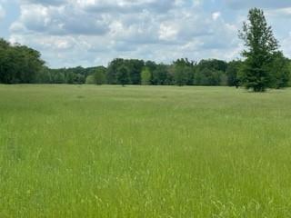 7 Fm 1848 Buffalo, TX 75831 - Photo 4 of 10