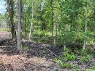 $620,800 | 7 Fm 1848, Buffalo, TX 75831