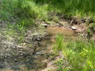 $620,800 | 7 Fm 1848, Buffalo, TX 75831