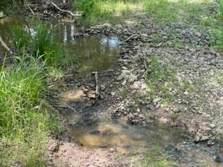 7 Fm 1848 Buffalo, TX 75831 - Photo 8 of 10