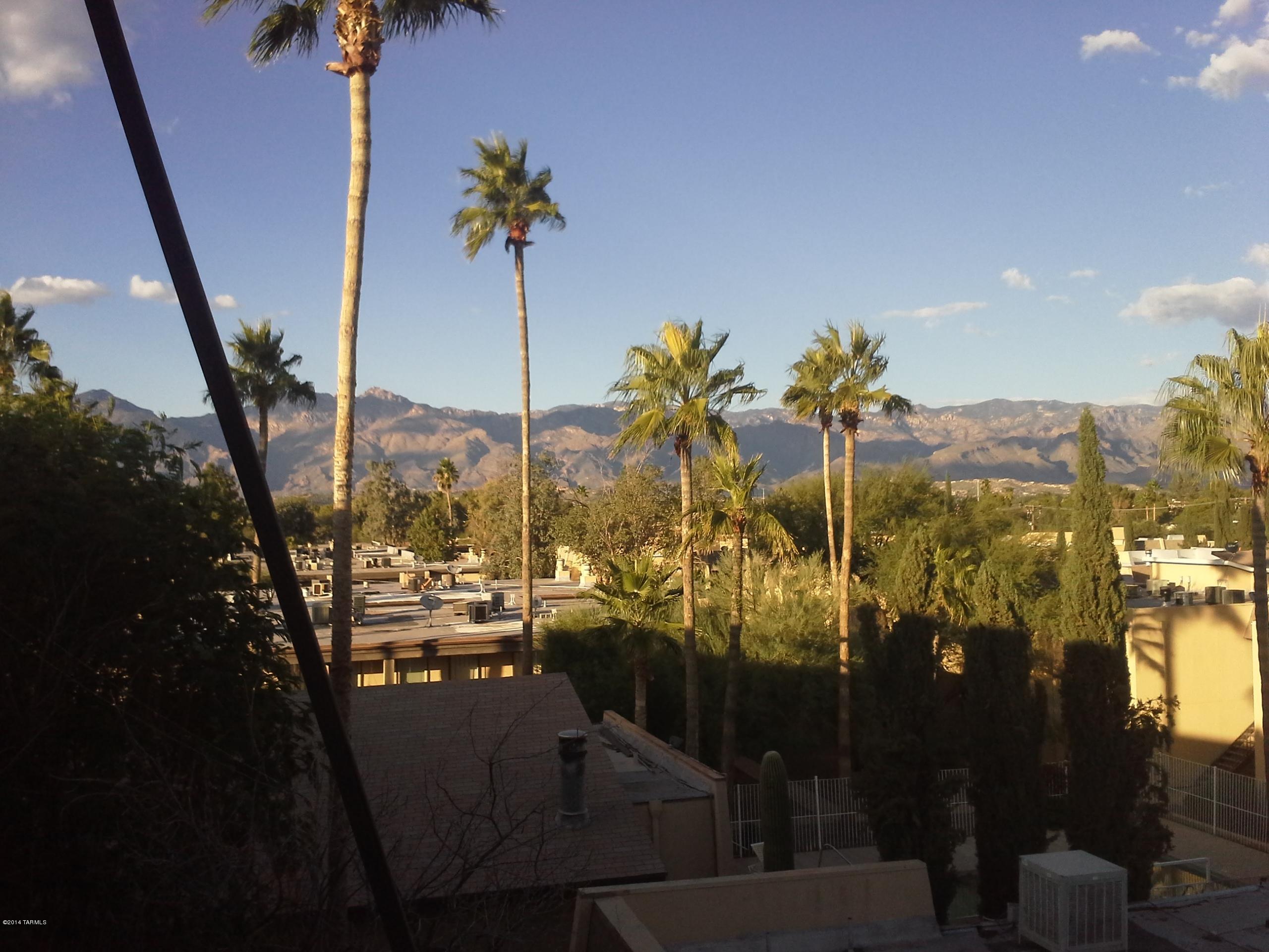1620 North Wilmot Road, Unit B311 Tucson, AZ 85712 - Photo 1 of 16