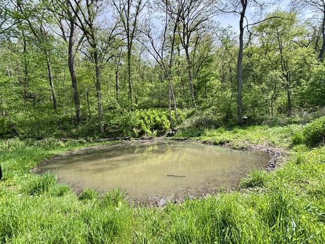 50792 Haney Valley Road Gays Mills, WI 54631 - Photo 13 of 39