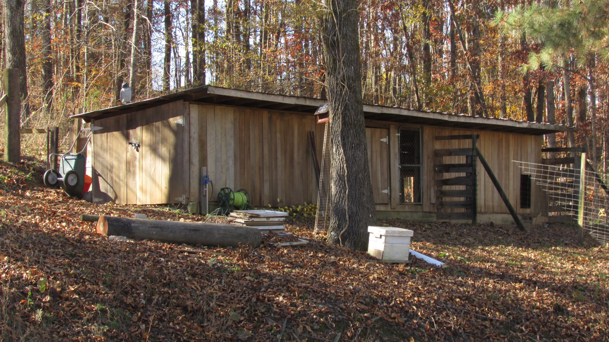 196 Iron City Road Iron City, TN 38463 - Photo 21 of 28 Gallery Image 21