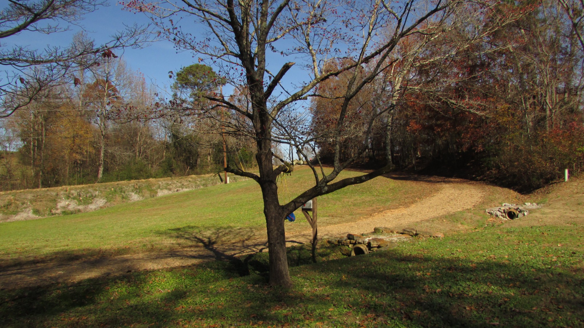 196 Iron City Road Iron City, TN 38463 - Photo 22 of 28 Gallery Image 22