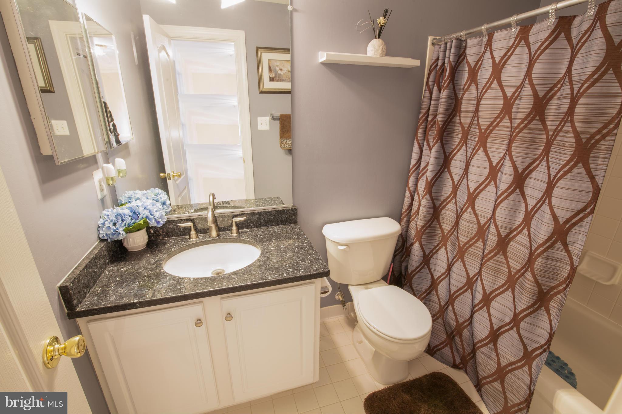 102 Bucksfield Road, Unit A Gaithersburg, MD 20878 - Photo 15 of 25 Bath