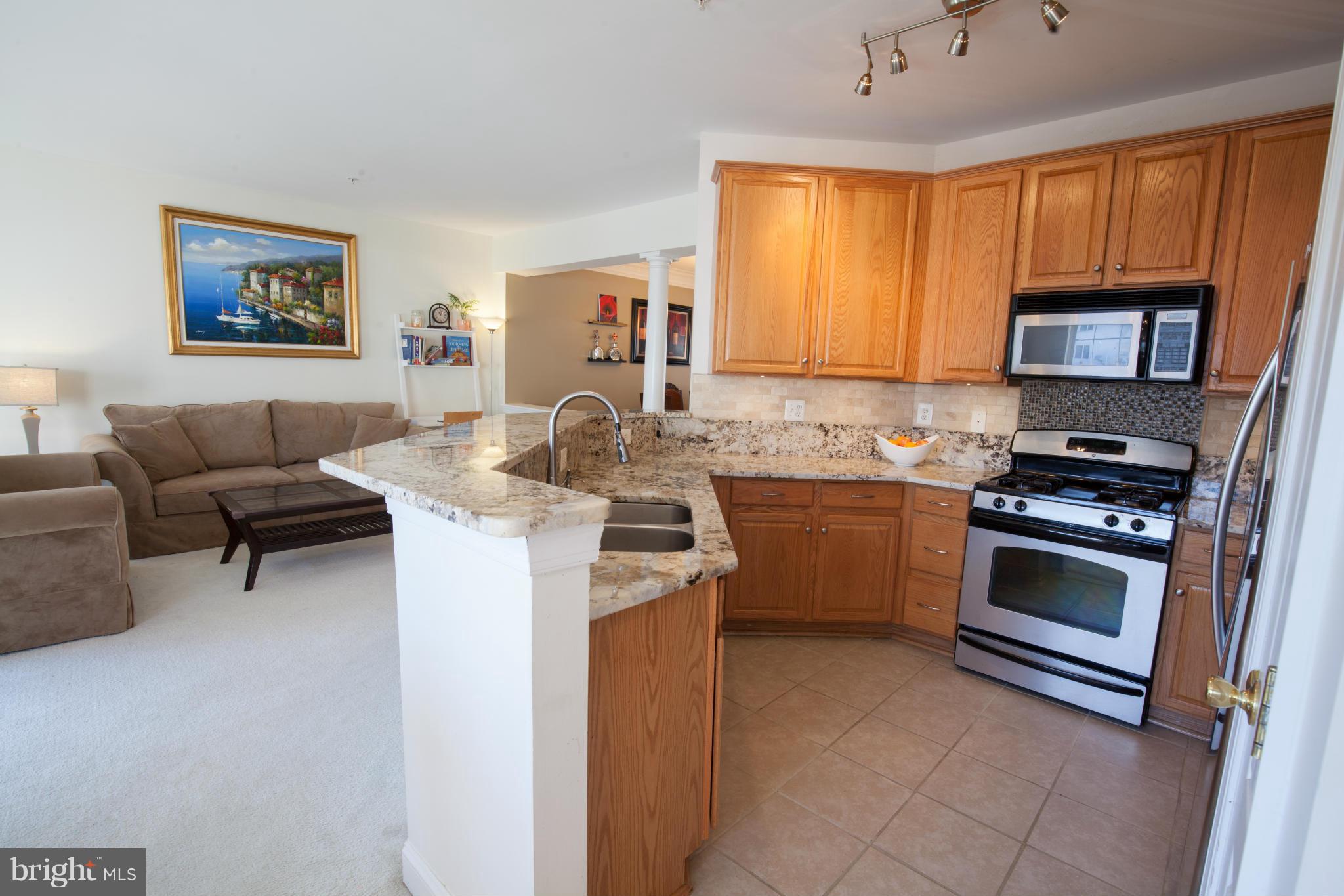 102 Bucksfield Road, Unit A Gaithersburg, MD 20878 - Photo 8 of 25 Kitchen