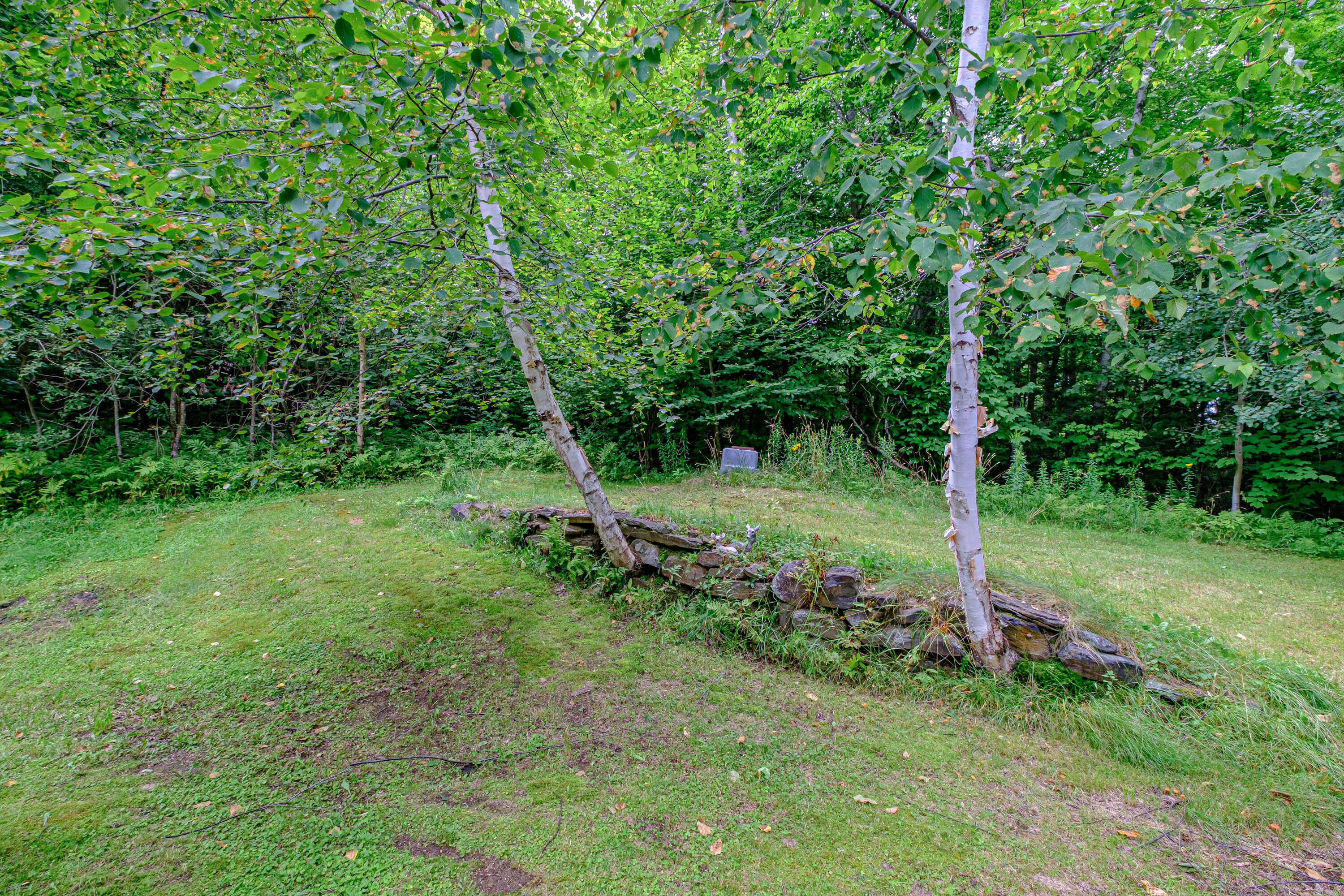 99 Back Street Newry, ME 04261 - Photo 29 of 44 20230811gp-65026