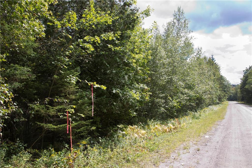 Tbd Cottrell Road Dixmont, ME 04932 - Photo 8 of 15 Ribbons hung from tree limbs mark...