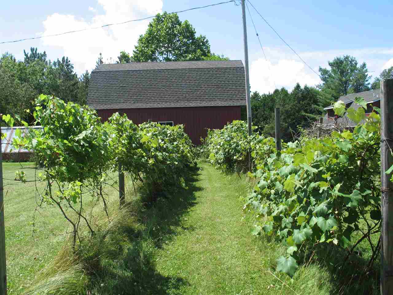 7624 West Esmond Road Hale, MI 48739 - Photo 31 of 41 1865342-30.JPG