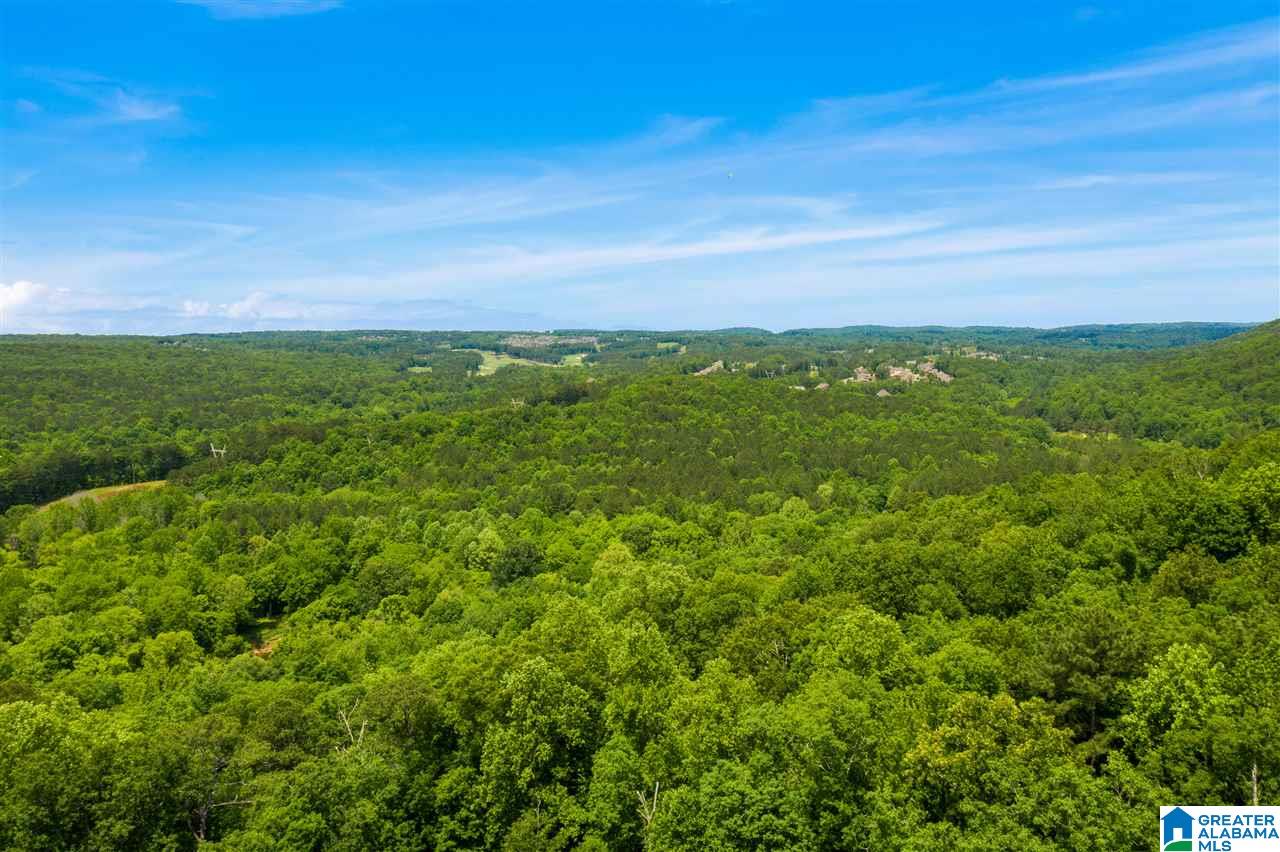 218 Shades Crest Road Birmingham, AL 35226 - Photo 30 of 30