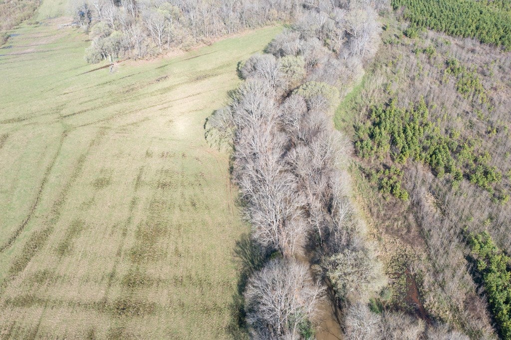 316 Young Road Boydton, VA 23917 - Photo 14 of 44 Gallery Image 14