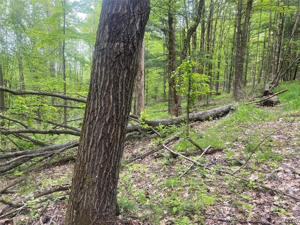 7133 Murry Hill Road Belfast, NY 14711 - Photo 24 of 33