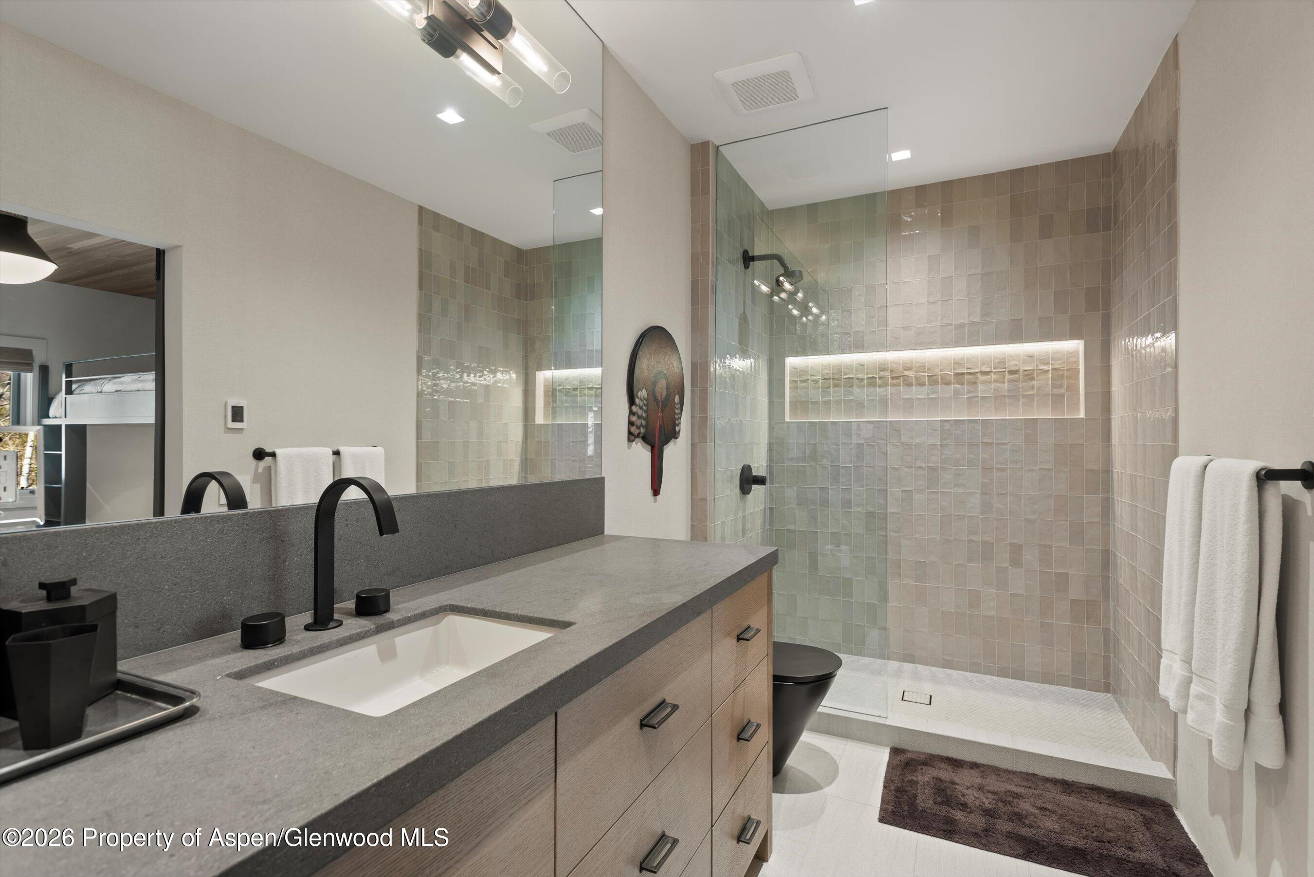 1271 Ute Avenue Aspen, CO 81611 - Photo 27 of 53 a bathroom with a sink a toilet and shower