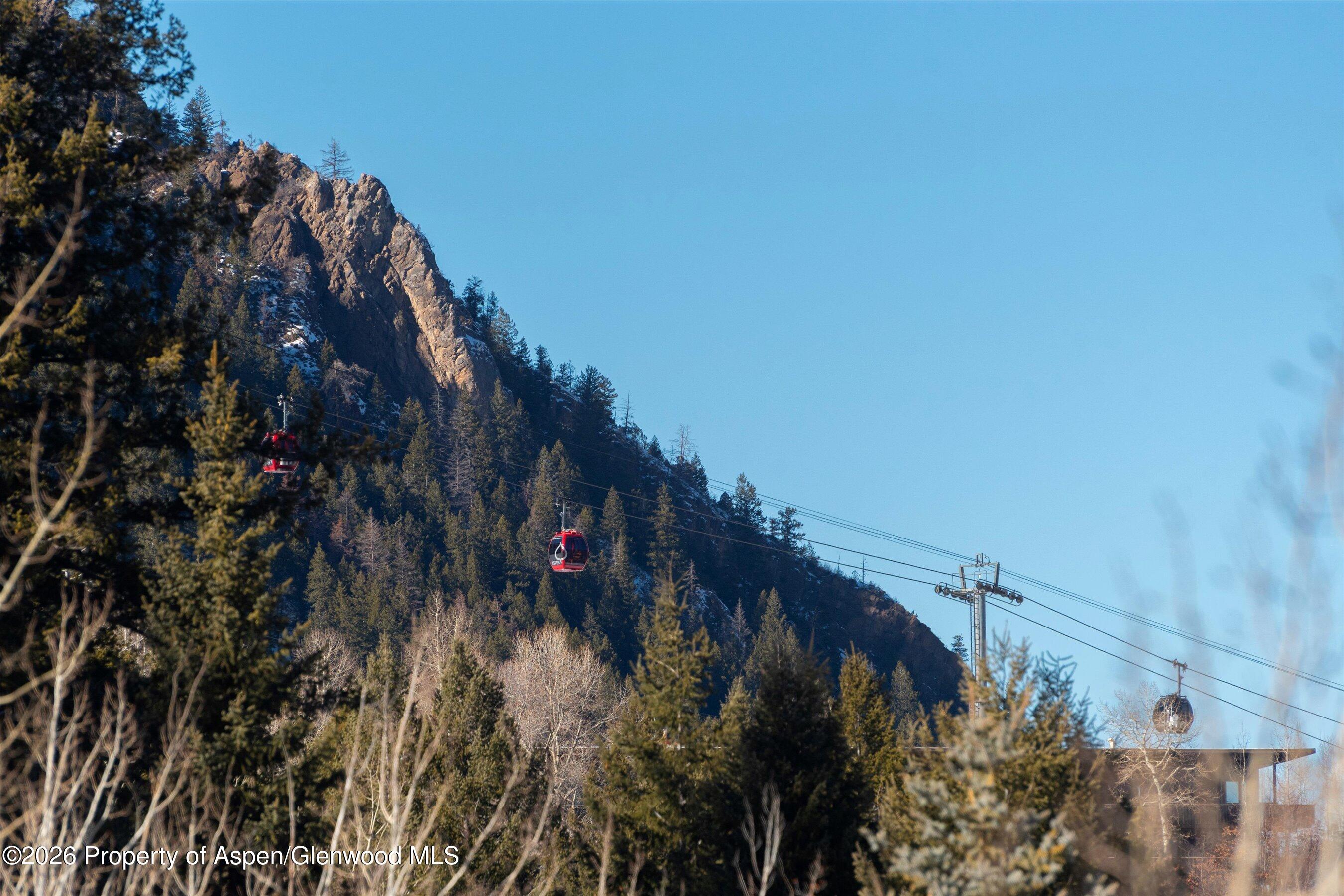 1271 Ute Avenue Aspen, CO 81611 - Photo 30 of 53 a picture of trees
