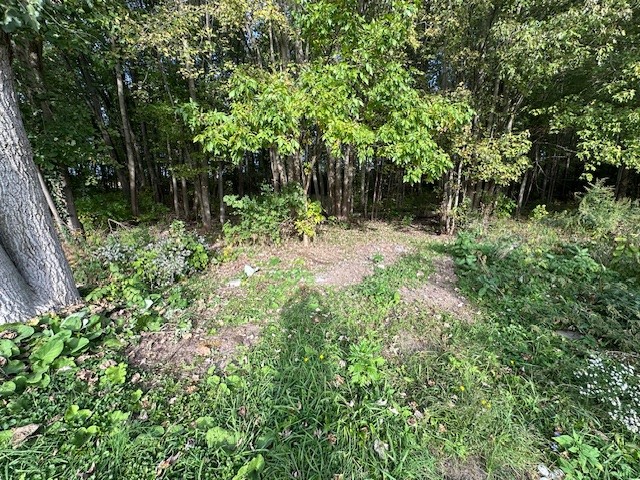 2459 Jones Road Phelps, NY 14456 - Photo 6 of 19