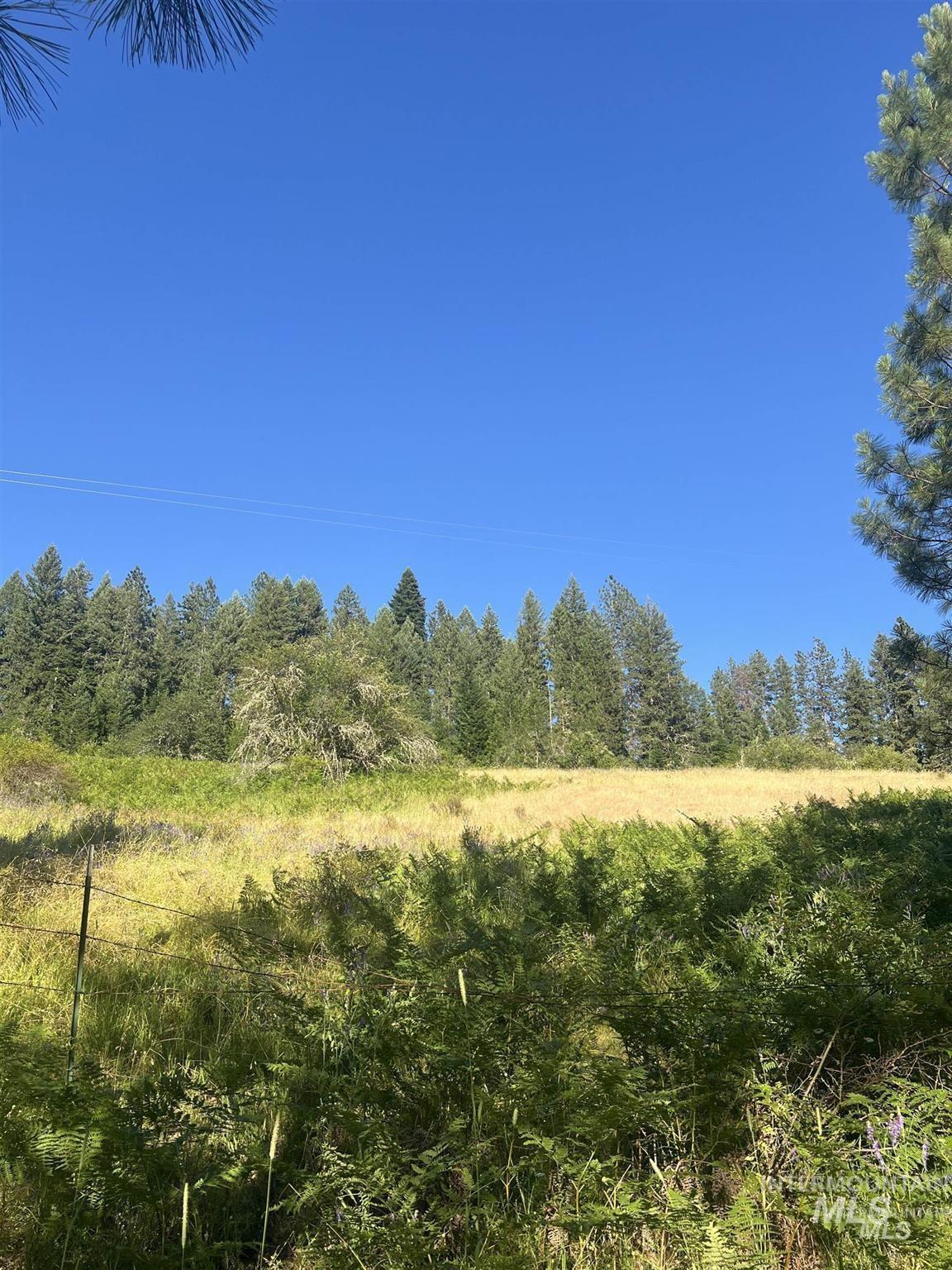 Nka Clearcreek Road Kooskia, ID 83539 - Photo 14 of 25 View of local wilderness featuring rural landscape