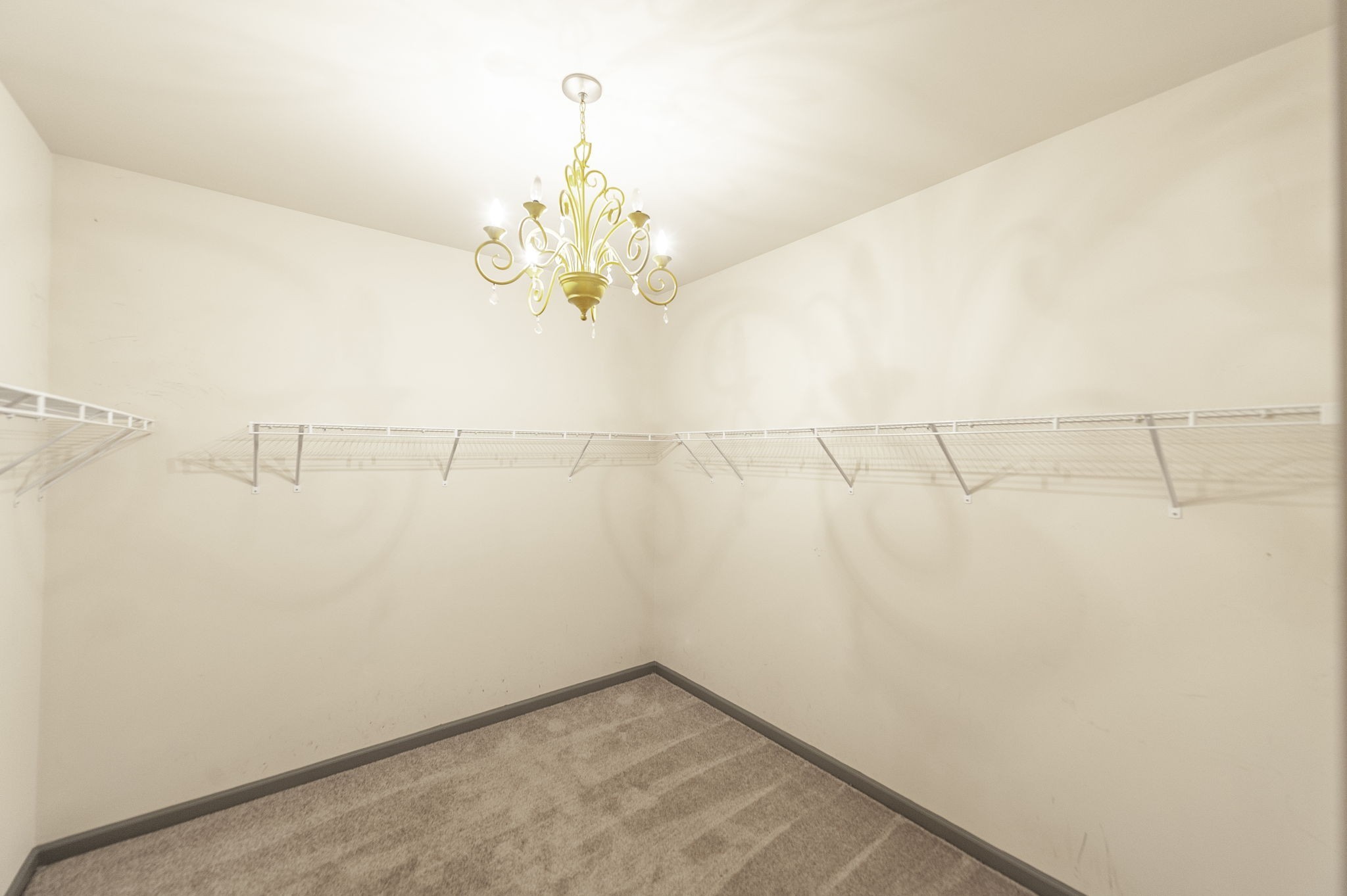 1019 Lacebark Lane Hendersonville, TN 37075 - Photo 44 of 77 Gallery Image 44